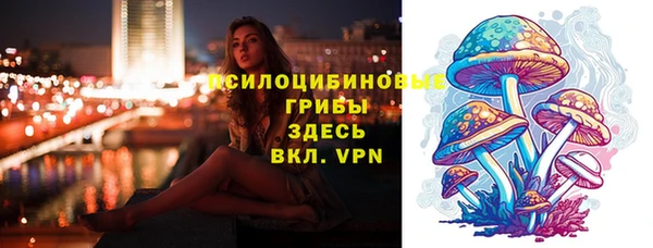 амф Надым